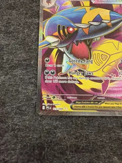 Pokemon TCG Mega Sharpedo EX 113 Holo Ultra Rare Full Art Phantasmal Flames - Image 2