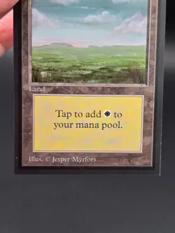 Plains C #1 - Misprint Light Grey Border Collector's Ed CE NM/M *CGHouse* #WM - Image 4