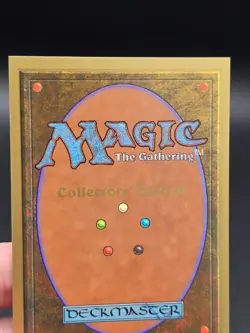 Plains C #1 - Misprint Light Grey Border Collector's Ed CE NM/M *CGHouse* #WM - Image 5