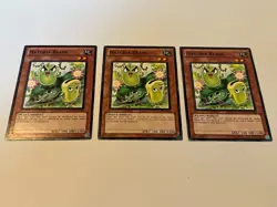 3X Naturia Beans DREV-EN028 3 x3 Yugioh Yu Gi Oh! Playset - Image 1