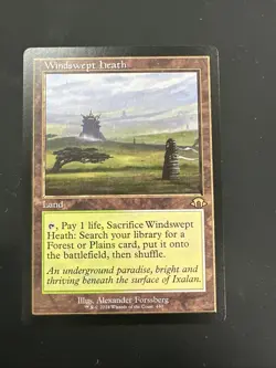 Windswept Heath (Retro Frame) Modern Horizons 3 Regular - Image 1