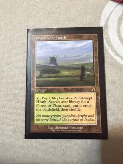 Windswept Heath (Retro Frame) Modern Horizons 3 Regular - Image 1