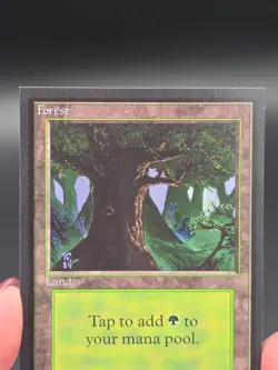 Forest C #2 - Misprint Light Grey Border Collector's Ed CE NM/M *CGHouse* #WM - Image 3