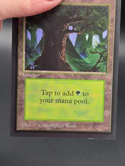 Forest C #2 - Misprint Light Grey Border Collector's Ed CE NM/M *CGHouse* #WM - Image 4