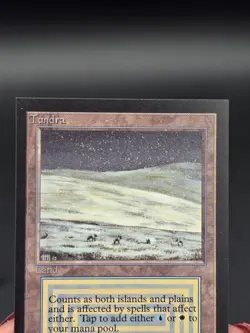 Tundra - Collector's Edition CE Dual Land Beta Reprint NM/M*CCGHouse* #WM - Image 3