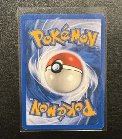 Shuckle 96/144 Skyridge Regular (NM) Pokemon TCG WOTC - Image 2