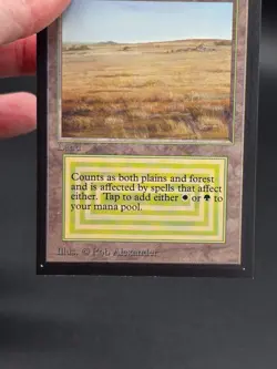 Savannah - Collector's Edition CE Dual Land Beta Reprint NM/M*CCGHouse* #WM - Image 4