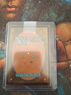 Noble Hierarch Modern Masters 2015 Regular, NM, MTG, FREE NEXT DAY SHIPPING! - Image 2