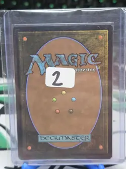 MTG Magic the Gathering Deflecting SWAT Borderless Foil NM 698 - Image 2