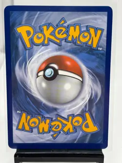 Pikachu SWSH020 SWSH: Sword & Shield Promo Cards Holo Pokemon - Image 4