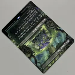 MTG Lorwyn Eclipsed Overgrown Tomb Land - Swamp Forest RARE REGULAR #0350 - Image 4