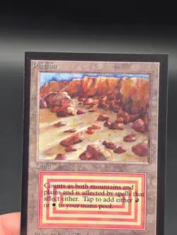 Plateau - Collector's Edition CE Dual Land Beta Reprint NM/M*CCGHouse* #WM - Image 3