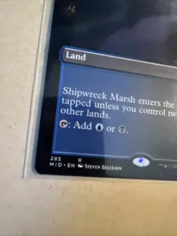 MTG Shipwreck Marsh MID 285 R NM Regular Borderless - Image 3