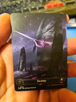 MTG - Edge of Eternities - Swamp (0264) (Borderless) - NM - NF - Image 1