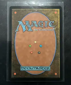 Magic The Gathering Lush Portico Land Borderless Murders at Karlov Manor Rare 0… - Image 2