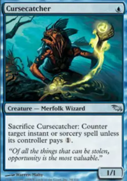 MTG - Cursecatcher - Shadowmoor - NM, English Magic FLAT RATE SHIP - Image 1