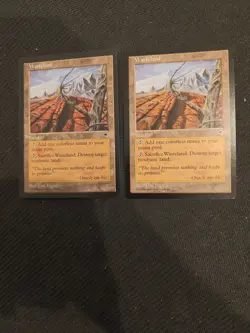 MTG Tempest "Wasteland" X2 Played/LP Magic The Gathering WoTC - Image 1