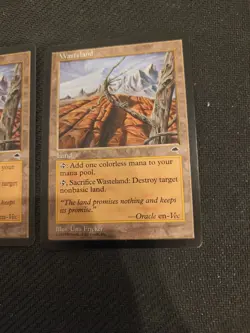 MTG Tempest "Wasteland" X2 Played/LP Magic The Gathering WoTC - Image 2