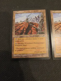 MTG Tempest "Wasteland" X2 Played/LP Magic The Gathering WoTC - Image 3