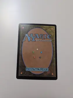 MTG - Hidden Grotto (Foil) - Bloomburrow NM/M Condition - Image 4