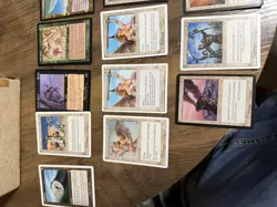 Misc Magic Cards 1995-2002 Serra Angel, Rares, & More (250+ Cards!) - Image 3