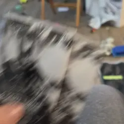 Bandai Dragon Ball Super Card Game Judge Pack vol.12 2 Packs English - Image 2