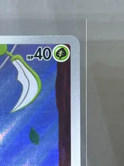 Pokemon TCG Tarountula Illustration Rare Card Scarlet & Violet Base Set - Image 3