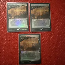 Windswept Heath Zendikar Rising Expeditions Foil x1 - Image 1