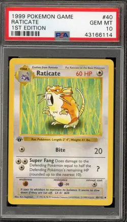 Pokemon Raticate Base Set Shadowless 1st Edition #40 PSA 10 Gem Mint - Image 1