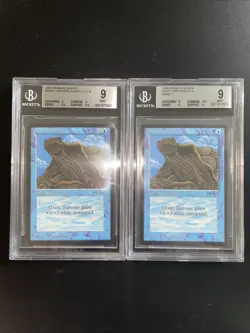 MTG Giant Tortoise (Light & Dark) BGS 9Q+/++ Arabian Nights 1993 Graded NM - Image 2