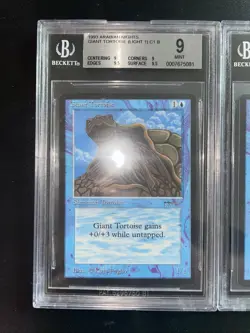 MTG Giant Tortoise (Light & Dark) BGS 9Q+/++ Arabian Nights 1993 Graded NM - Image 3
