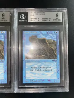 MTG Giant Tortoise (Light & Dark) BGS 9Q+/++ Arabian Nights 1993 Graded NM - Image 4