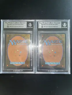 MTG Giant Tortoise (Light & Dark) BGS 9Q+/++ Arabian Nights 1993 Graded NM - Image 5