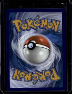 Charizard ex - 074 Promo SV: Scarlet & Violet Promo Cards 074 NM - Image 2