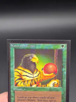 Natural Selection - Collector's Edition CE Beta Reprint NM/Mint *CCGHouse* #WM - Image 3