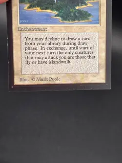 Island Sanctuary - Collector's Edition CE Beta Reprint NM/Mint *CCGHouse* #WM - Image 4