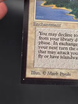 Island Sanctuary - Collector's Edition CE Beta Reprint NM/Mint *CCGHouse* #WM - Image 5