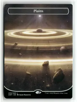 Plains (240) (Borderless) Unfinity UNF MTG Magic - Image 1