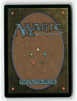 Plains (240) (Borderless) Unfinity UNF MTG Magic - Image 2