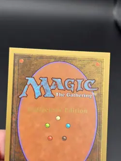 Northern Paladin - Collector's Edition CE Beta Reprint NM/Mint *CCGHouse* #WM - Image 5