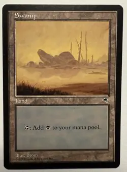 Magic The Gathering - Tempest - 7 Card Lot - Black - Image 3