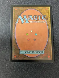 1x Swamp MTG Magic the Gathering Apac Spears Signed LP - Image 2