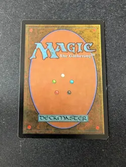 1x Swamp MTG Magic the Gathering Apac Spears Cemetary Signed LP - Image 2