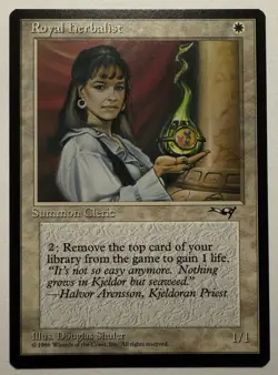 Magic The Gathering - Alliances - 8 Card Lot - 1996 - Image 5