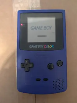 Digimon Card Game Tamer's Selection Box Ver Championship 2024 All Cards Plus Lot - Image 4