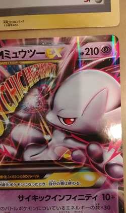 Japanese Pokemon Jumbo Card Lot Pikachu and M ex Mewtwo XY Promo US seller! - Image 5