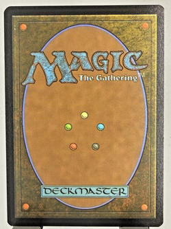 MTG Peter Parker's Camera [Extended Art] #280 Magic Marvel's Spider-Man - Image 2