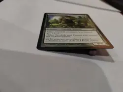 Timber Protector Lorwyn Regular - Image 3