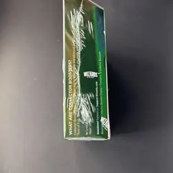MTG Bloomburrow - Collector Booster Box | Sealed | BLB | Magic the Gathering - Image 3