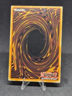 Yu-Gi-Oh! Skelengel 5DS2-EN016 5D's 1st Edition NM - Image 2